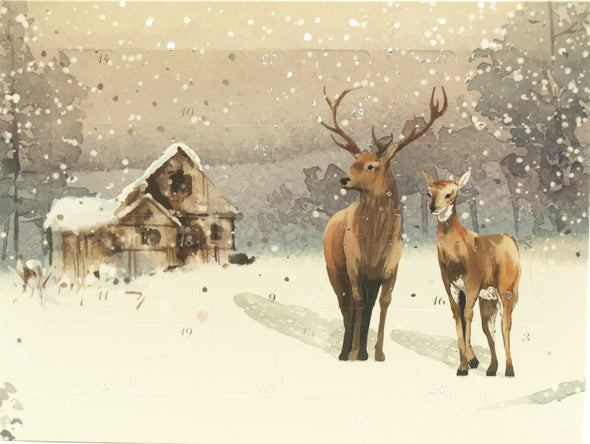 Advent Calendar - Snow in the Park and Festive Deer