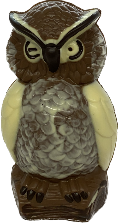 Large chocolate owl