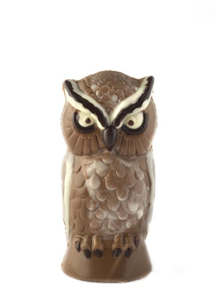 Milk chocolate owl